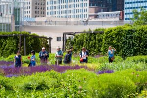 Save this picture!ASLA 2020 Landmark Award. Millennium Park — A Fortuitous Masterpiece. Lurie Garden by Gustafson Guthrie Nichol / P. Psyzka and City of Chicago. Image Courtesy of The DirtASLA 2020 Landmark Award. Millennium Park — A Fortuitous Masterpiece. Lurie Garden by Gustafson Guthrie Nichol / P. Psyzka and City of Chicago. Image Courtesy of The Dirt
