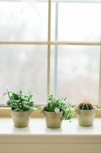 8 Easy Feng Shui DIY Ideas to Bring Metal Element to your Space_8
