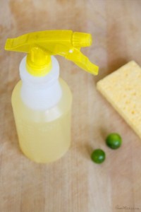 The Key to Wellness Declutter, Deep Clean & Reorganize your Spaces_5