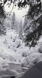 Winter_Inspiration_December_2