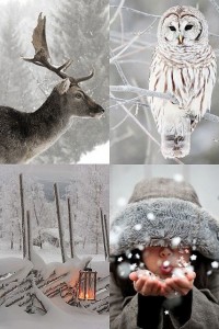 Winter_Inspiration_December_3