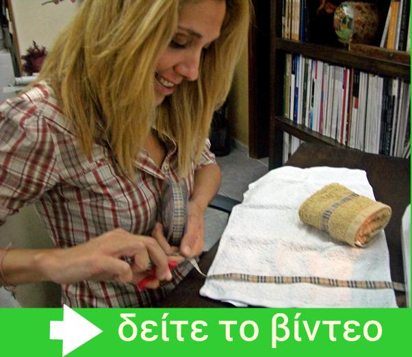 elena_arsenoglou_watch_video_2