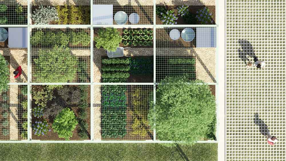 Health and Nutrition